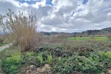 Property 65540 photo 5