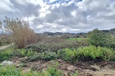 Property 65540 photo 4