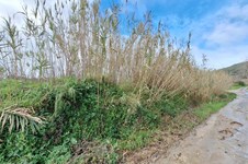 Property 65540 photo 6