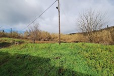 Property 65540 photo 1