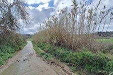 Property 65540 photo 9