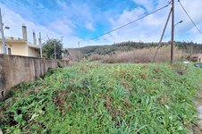 Property 65540 photo 2