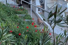 Property 65541 photo 3