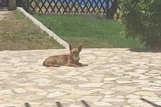 Property 65548 photo 8