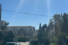 Property 65549 photo 8