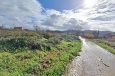 Property 65553 photo 13