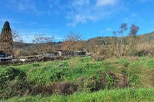 Property 65553 photo 12