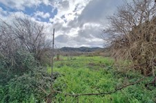 Property 65553 photo 5