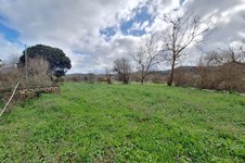 Property 65553 photo 6