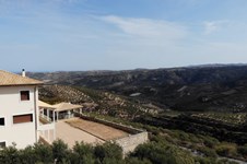 Property 65564 photo 51