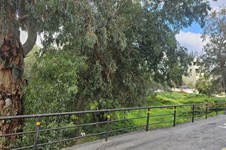 Property 65575 photo 6