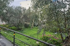 Property 65575 photo 3