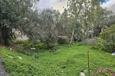 Property 65575 photo 1