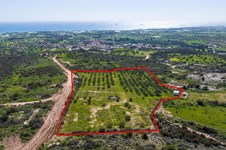 Property 65582 photo 4