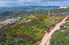 Property 65582 photo 3