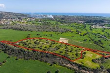 Property 65583 photo 1