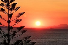 Property 65599 photo 18