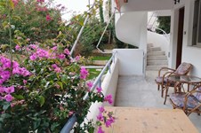 Property 65599 photo 12