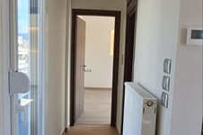 Property 65604 photo 42