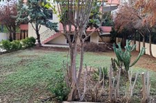 Property 65607 photo 2