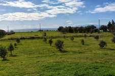 Property 65612 photo 14