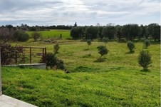 Property 65612 photo 13