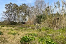 Property 65622 photo 10