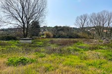 Property 65622 photo 6