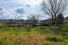 Property 65622 photo 9