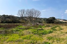 Property 65622 photo 7