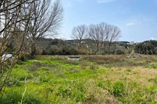 Property 65622 photo 5