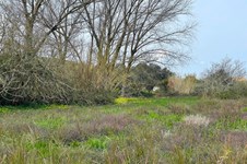 Property 65622 photo 13