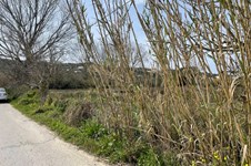 Property 65622 photo 12