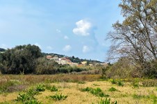 Property 65622 photo 1