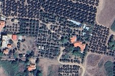 Property 65636 photo 1