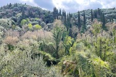 Property 65638 photo 7