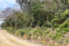 Property 65638 photo 14