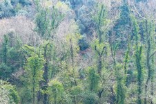 Property 65638 photo 3