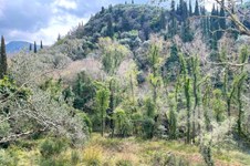 Property 65638 photo 9