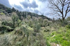 Property 65638 photo 16