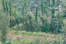 Property 65638 photo 4