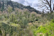 Property 65638 photo 8