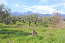 Property 65646 photo 3