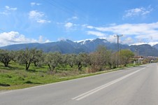 Property 65646 photo 1