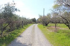 Property 65646 photo 4