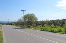 Property 65646 photo 2