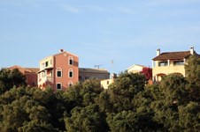 Property 65656 photo 5