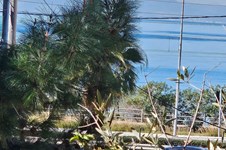 Property 65676 photo 5