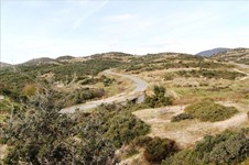 Property 65682 photo 3