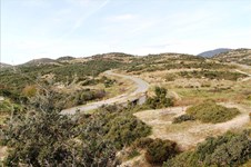 Property 65682 photo 1